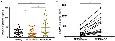 Cyclophilin A causes severe fever with thrombocytopenia syndrome virus-induced cytokine storm by regulating mitogen-activated protein kinase pathway